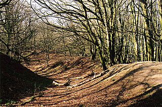 Payhembury, Hembury hillfort - geograph.org.uk - 47183.jpg