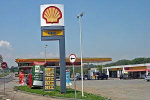 Archivo:Piracicaba 10 2008 151 Gast station selling four fuels