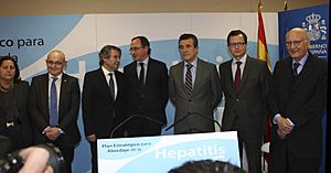 Archivo:Plan estratégico hepatitis C expertos