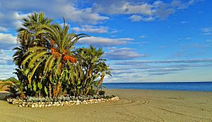 Archivo:Playa de la Rada autumn - Estepona beach