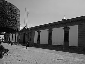 Archivo:Presidencia Municipal de Irapuato, Gto
