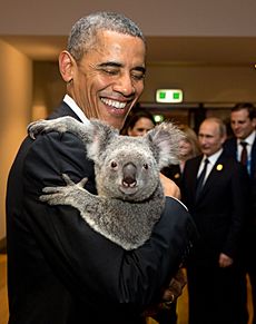 Archivo:President Obama holding a koala 