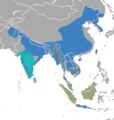 Prionailurus range