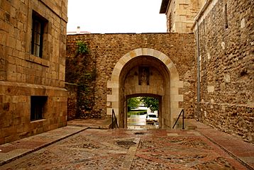 Puerta en la muralla de León
