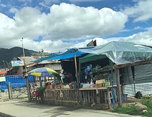 Archivo:Puestos de venta de frutas y legumbres