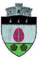 ROU SV Izvoarele Sucevei CoA
