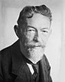 Richard Adolf Zsigmondy LOC