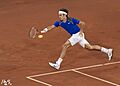 Roger federer 2011
