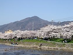 Archivo:Sakura MtHiei