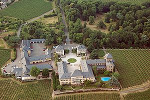 Archivo:Schloss Johannisberg fg02