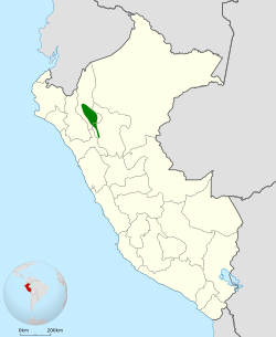 Distribución geográfica del churrín de Utcubamba.