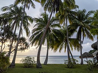 Archivo:Tahiti, French Polynesia - Huahine (48074533391)