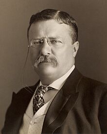 Theodore Roosevelt by the Pach Bros (4x5 cropped).jpg