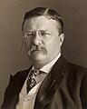 Theodore Roosevelt by the Pach Bros (4x5 cropped)