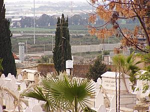 Archivo:Tulkarm Qalqilya Cemetery