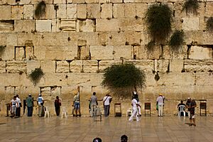 Archivo:Wailing Wall Jerusalem Victor Grigas 2011 -1-50