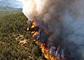 Wildfire From The Air