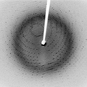 Archivo:X-ray diffraction pattern 3clpro