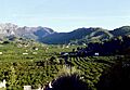 001 Vall La Murta