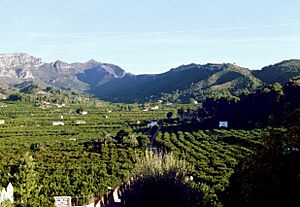 Archivo:001 Vall La Murta
