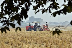 Archivo:Agriculture in India tractor farming Punjab preparing field for a wheat crop without burning previous crop stalk