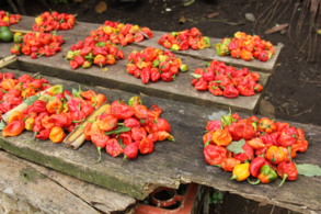 Ajíes picantes en Guinea Ecuatorial