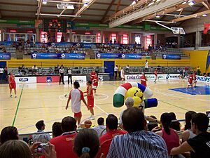 Archivo:Almeria05basket1