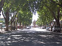 Archivo:Avenida José Tomás Urmeneta