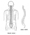 Backbone (PSF)