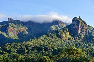 Archivo:Bale Mountains National Park (49851109481)