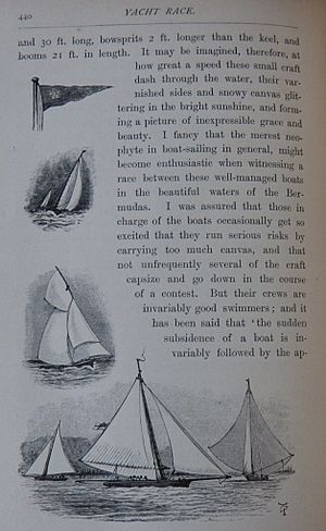 Archivo:Bermudian sail racing boats by Lady Brassey 1885