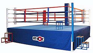 Archivo:Boxing ring
