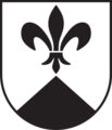 CHE Surses COA
