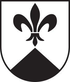 CHE Surses COA