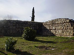 Archivo:Castillo viejo de Manzanres el Real 2