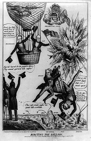 Archivo:Clay vs Polk campaign