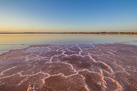 Concentración de sal en la orilla, Torrevieja.jpg
