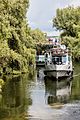 Delta del Danubio, Rumanía, 2016-05-28, DD 24