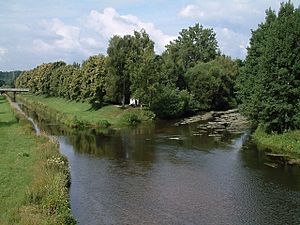 Archivo:Donaueschingen Donauzusammenfluss 20080714