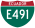 Ruta 491