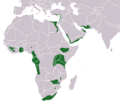 Egyptian Rousette area