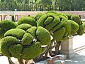 El Retiro 10