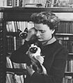 Elsa morante gatti