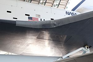 Archivo:Enterprise wing panel
