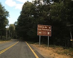 Archivo:Entrada Cueva Los Pincheira