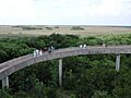 Everglades Overlook