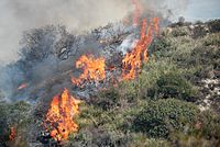 Archivo:Fires cross a hill in SoCal October 2007