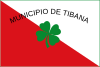Flag of Tibaná (Boyacá).svg