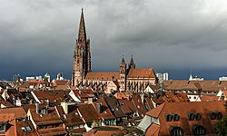 Freiburger Münster - 51732844331.jpg