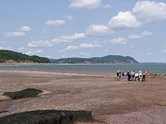Fundy National Park of Canada 3